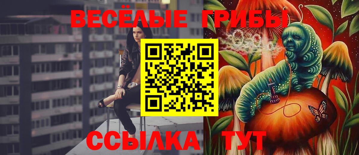 Псилоцибиновые грибы Cubensis Ливны